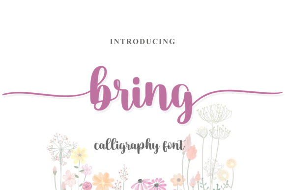 Bring Font: A Classy Handwritten Typeface for Digital Design