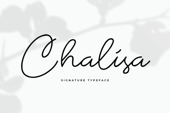 Chalisa Font: A Polished Script for Small Business Branding