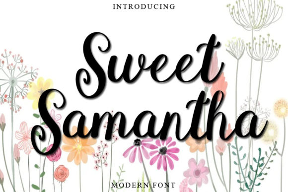 Sweet Samantha: The Script Amp Font That Elevates Your Campaigns