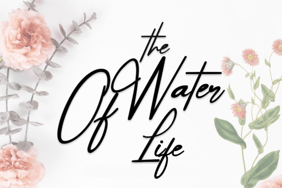 The Water of Life Font: A Playful Typeface for Creative Campaigns