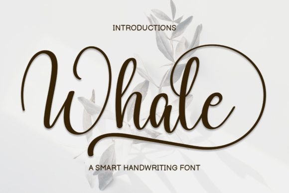 Whale Font: A Creative Typeface for Campaigns That Connect
