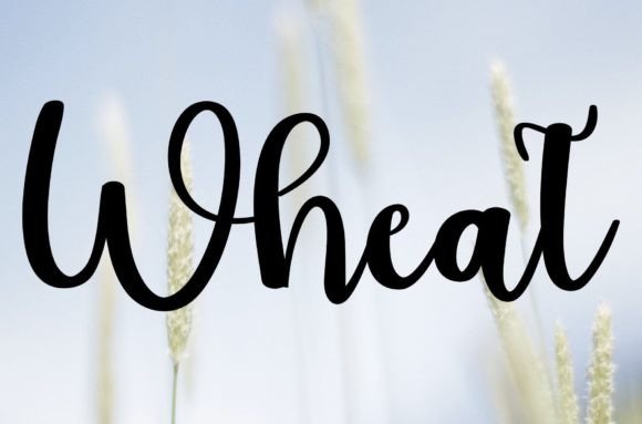 Wheat Font: A Handwritten Typeface for Editorial Elegance
